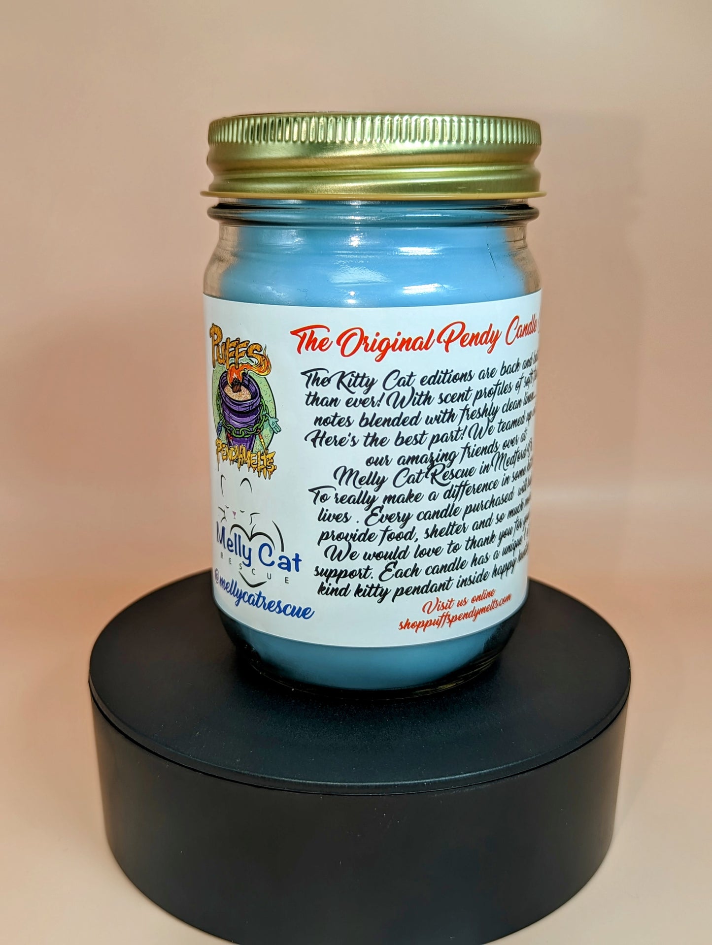 Melly Cat Rescue Collab - Kitty Edition